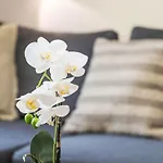 Rosablanche C32 By Interhome Siviez