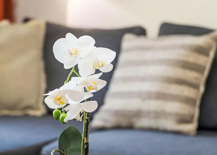 Rosablanche C32 By Interhome Siviez